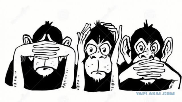 Помощник Кадырова: Свиньи, мы с детства вас так называем. Аллаху Акбар!