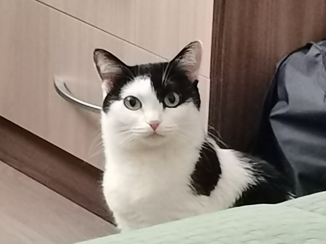 Можно так делать с утра?
