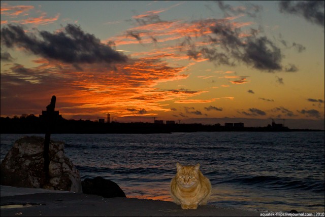 Чёрное море