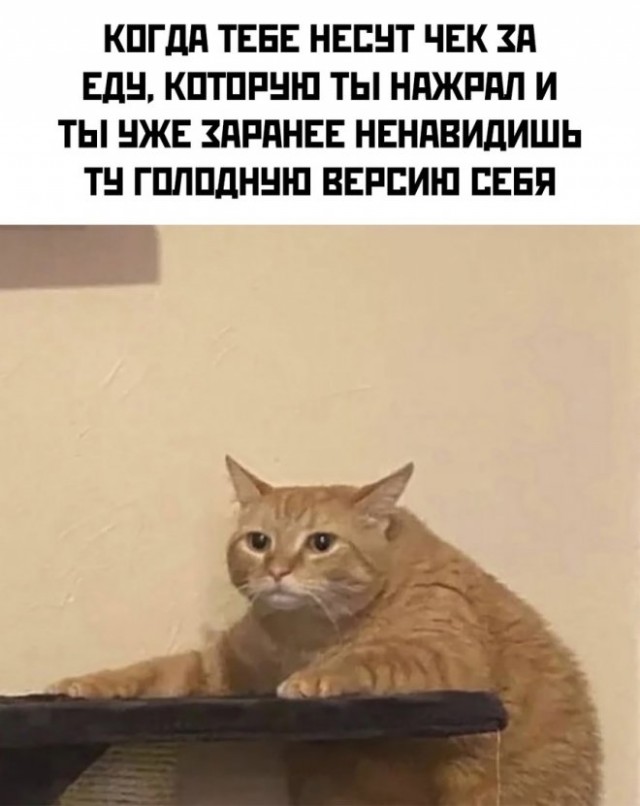 Картинки и мемы, всем отличных выходных