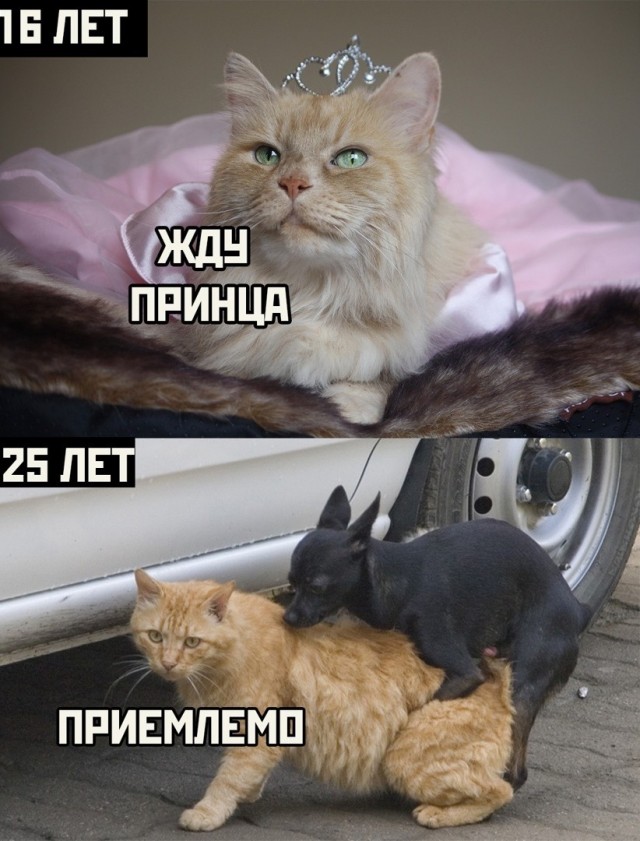 Картинки разные 25.04.2022