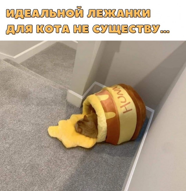 Так себе картинки 18.06.22