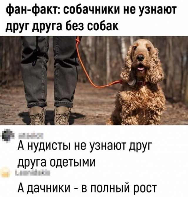 Картинки и мемы - "Жить, как говорится, хорошо..."