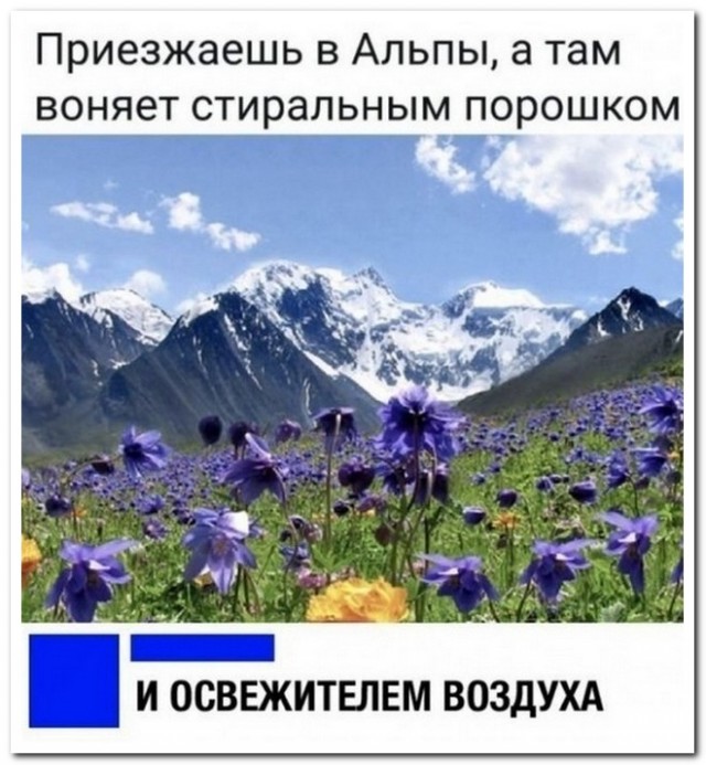 Скриншоты и комментарии из социальных сетей 10.09.22
