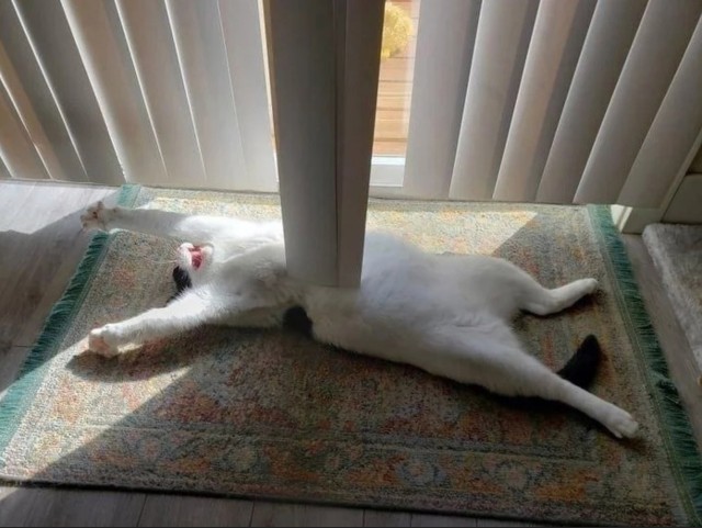 Так себе картинки 05.10.22