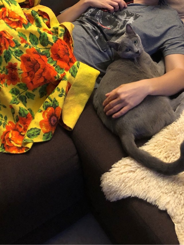 А как вы спите с котиком?