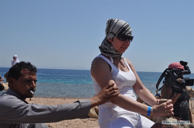 Как я ездил в Египет