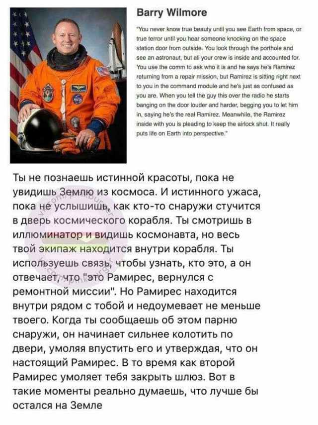 Чёрно-пошлый вторник