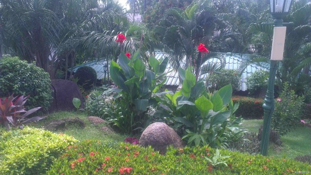 Краткий отзыв об отдыхе в Тайланде.