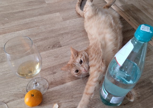 Мой уже нагулялся