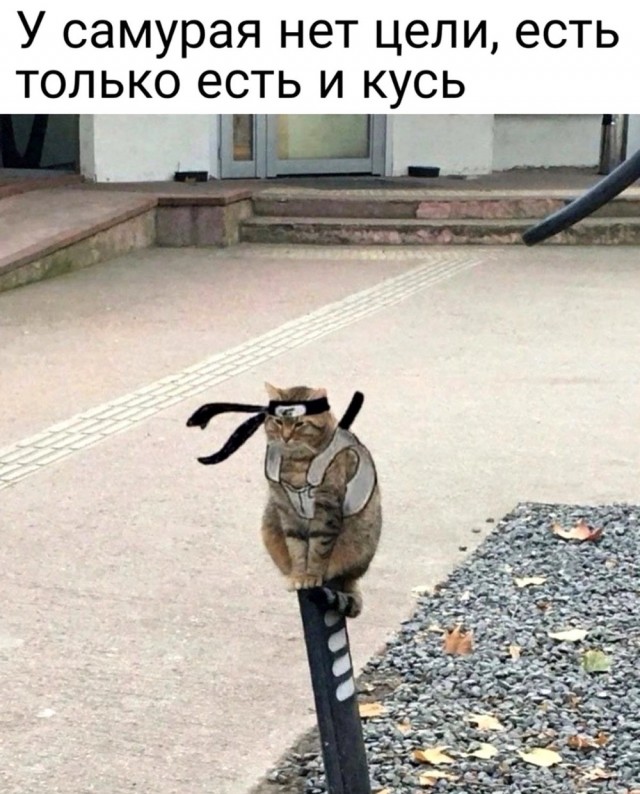 Ломай систему