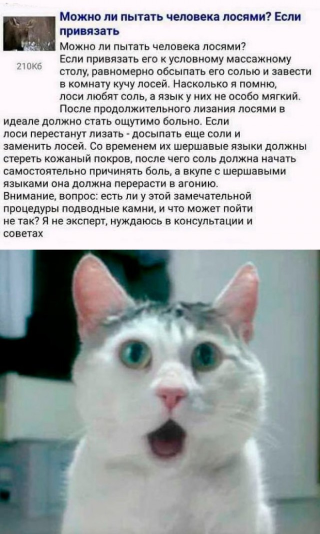 Картинки и мемы, всем хороших выходных