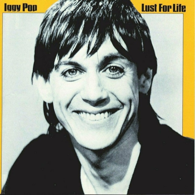Музыка и музыканты: Iggy Pop «Every Loser»