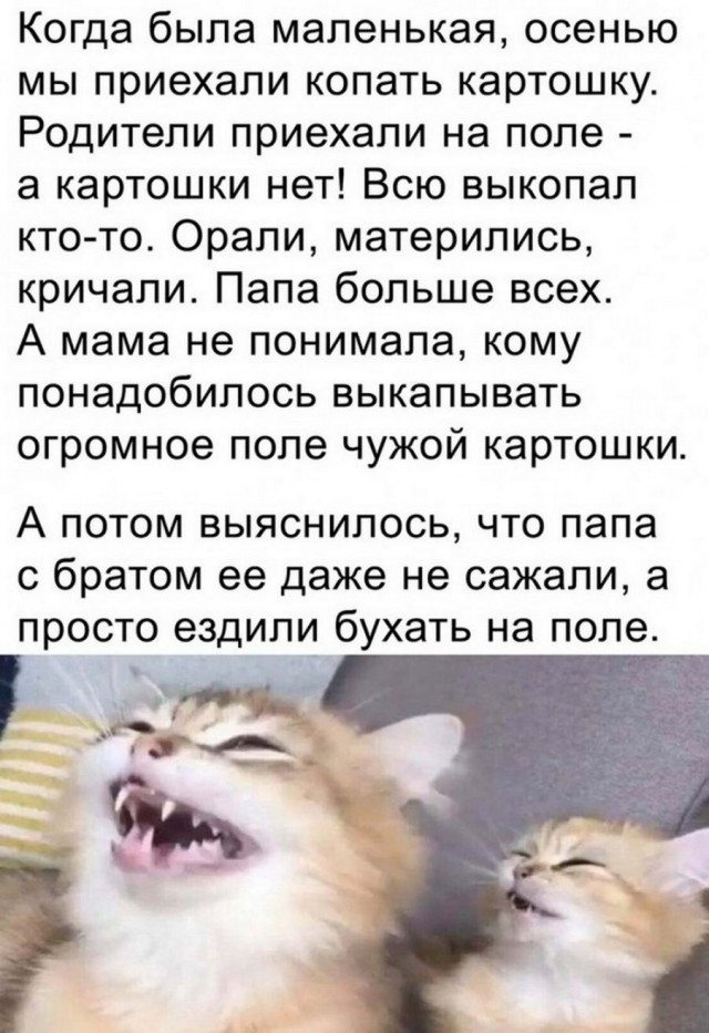 Нуштош 01.04.2023