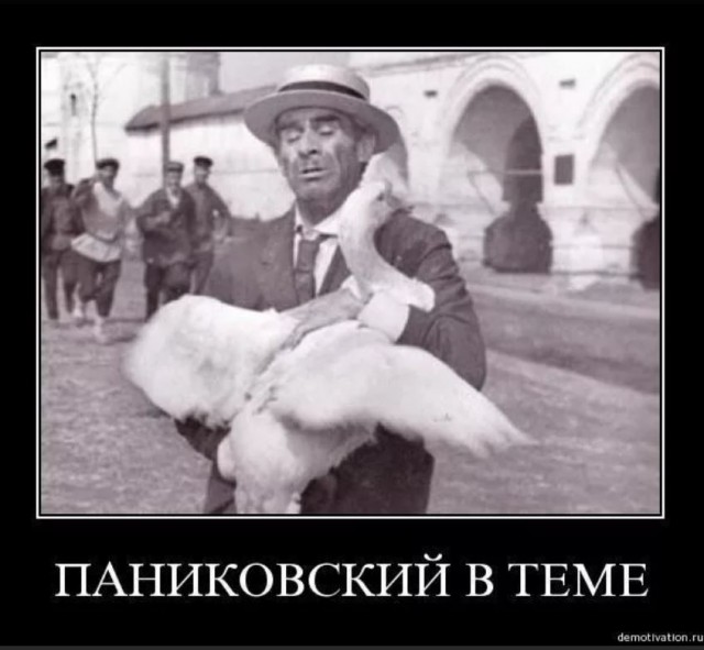 Победная поступь идиотизма по планете – том 12