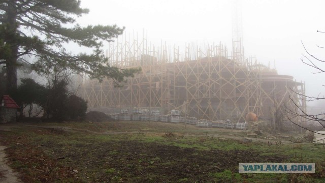 Крым в феврале или "Не стреляйте в белых лебедей!"