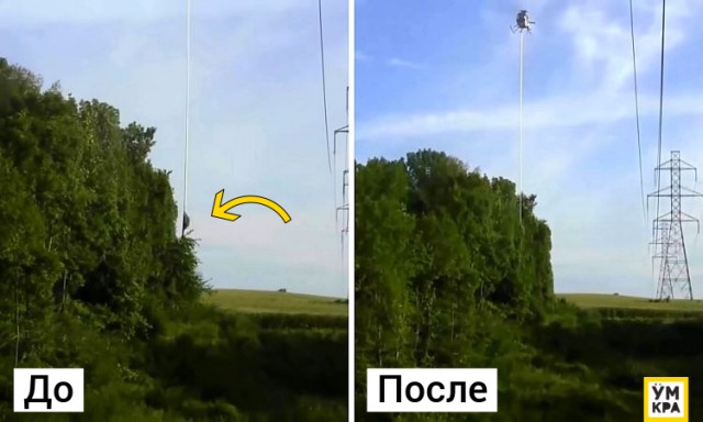 16 находок, которые так и могли остаться загадками, но знатоки из Интернета всё объяснили