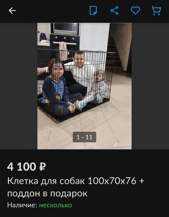Нуштош 03.08.2023