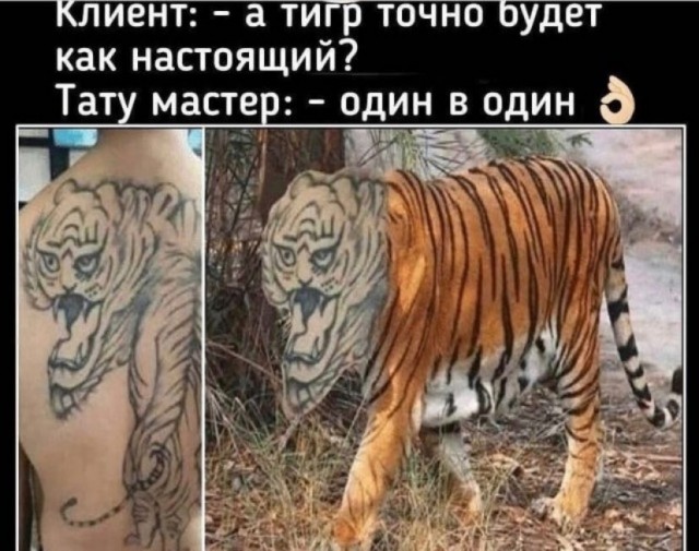 На фото показали татуировки, за которые может быть стыдно