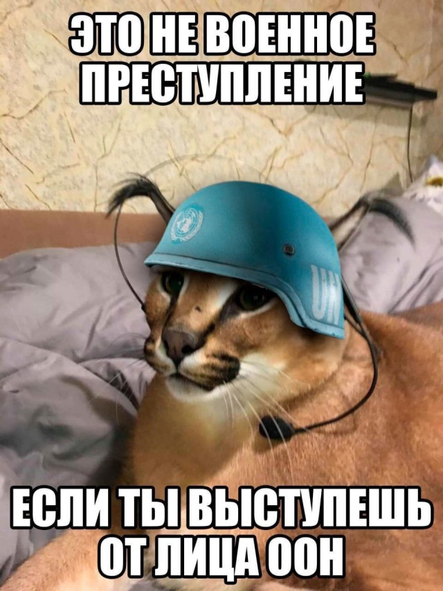 ЦАХАМАС