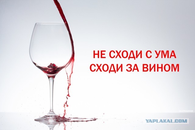 Хочешь узнать, как женщина занимается сексом? Посмотри на то, как она ест