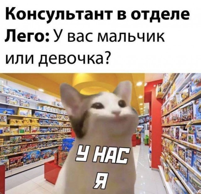 Отряд быстрого деградирования