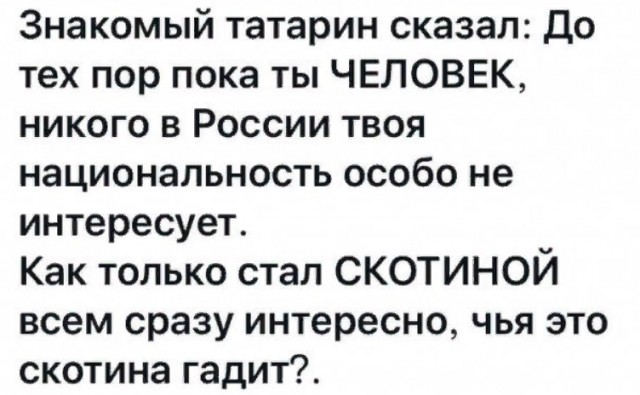 Всего понемногу. От 04.03.24