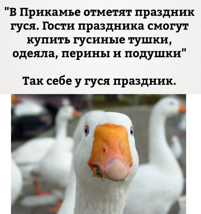 Сходил на юбилей