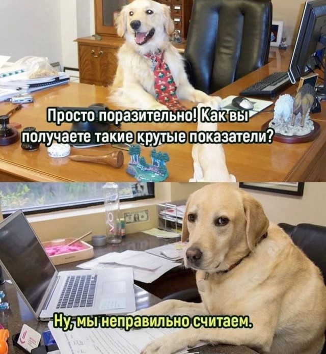 Весёлый полтишок 13.03.24