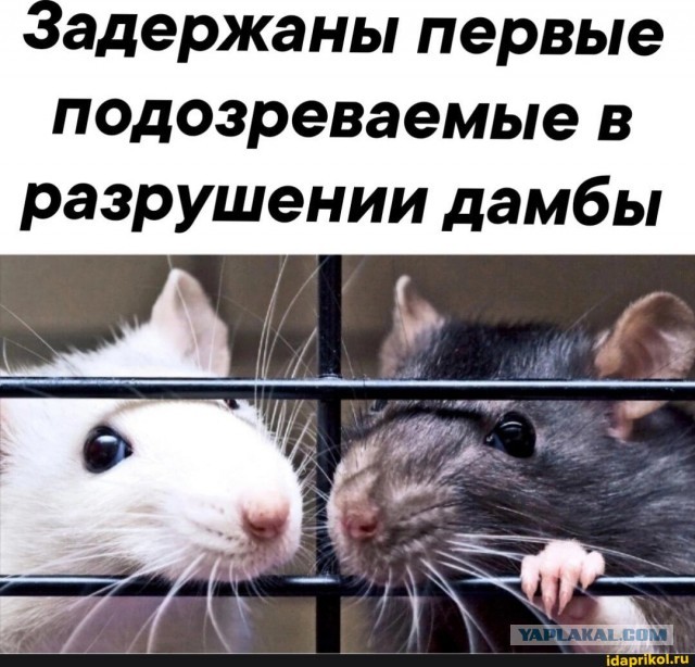 Поезд идёт по морю