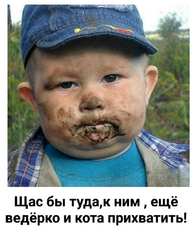 Сейчас бы с жабой по лесу бегать, а не вот это вот всё.
