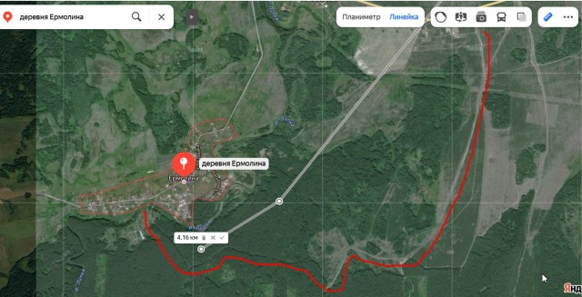 В Свердловской области дед потерял двоих внуков в лесу и пришел домой