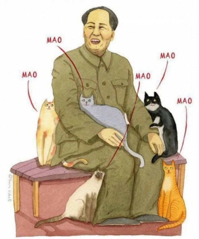 Никакие картинки