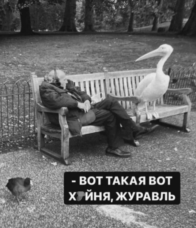 Так себе картинки 27.10.24
