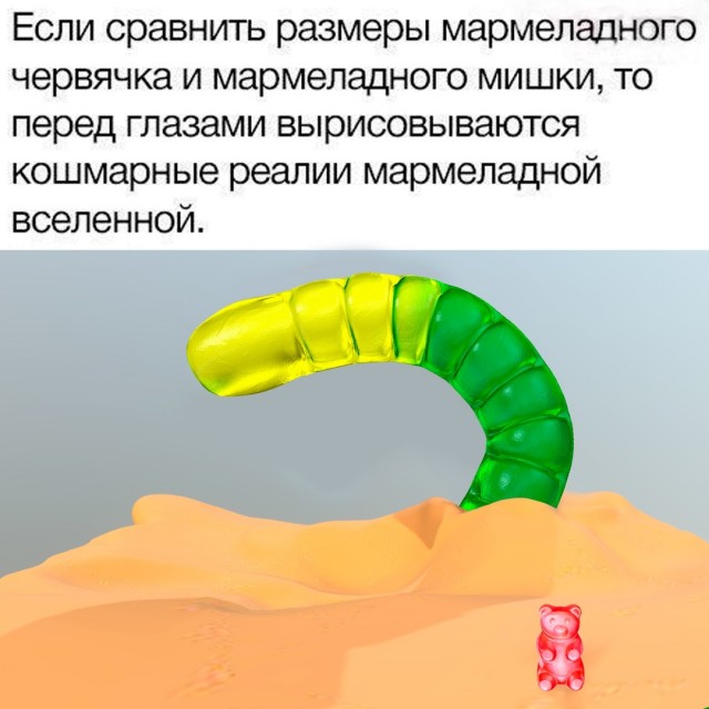 Весёлый полтишок 11.11.24