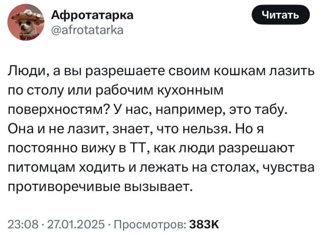 У нас в этом плане анархия