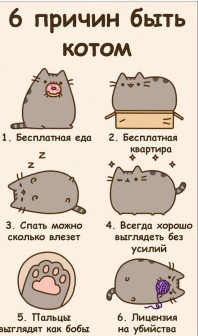 Тёплое, лаповое к котовторнику.