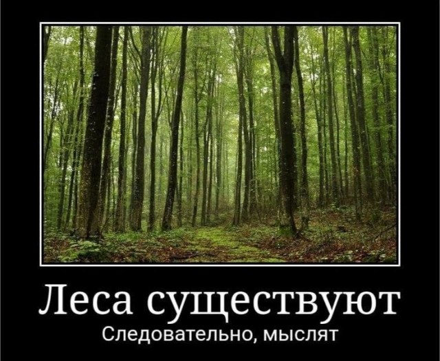 Прикольные и просто красивые картинки 13.06.2025
