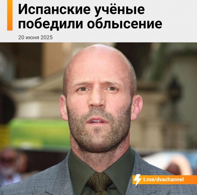 ⚡️ Облысение В С Ё