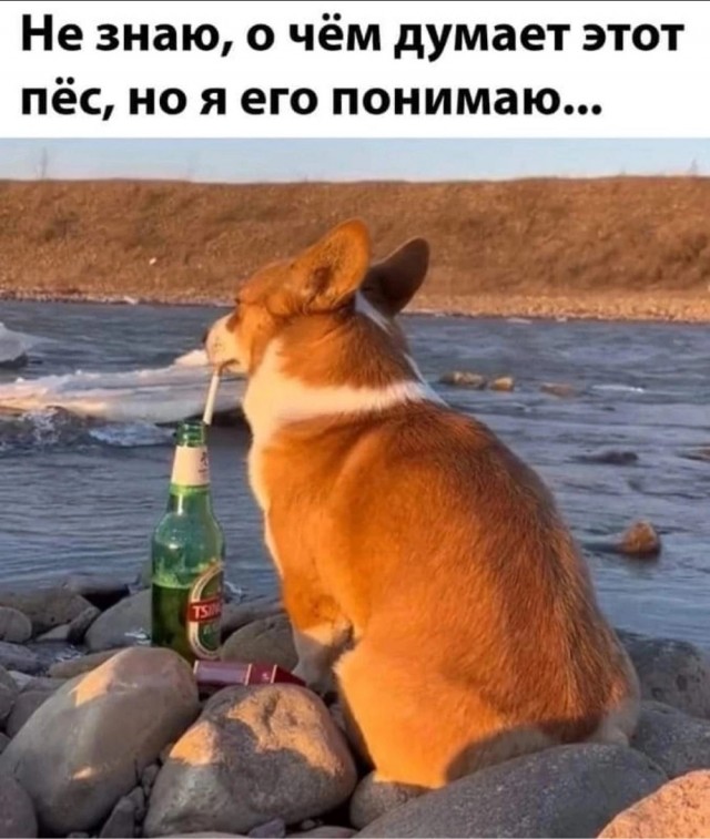 Завалялось тут случайно немного забавных картинок