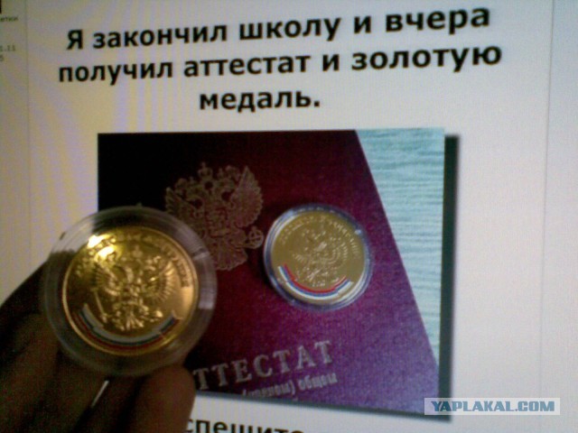 Деградация повсюду...