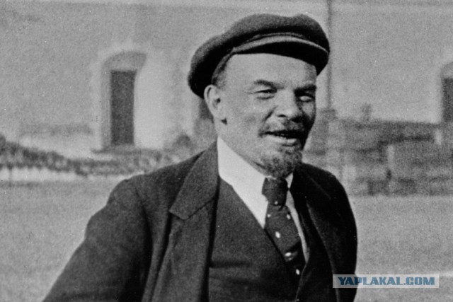 С 1 сентября запрещен любой бизнес в СНТ