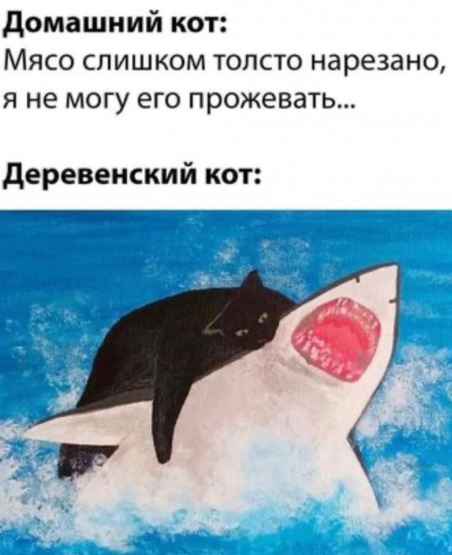 Картинки для деградации 36 (разной степени свежести)