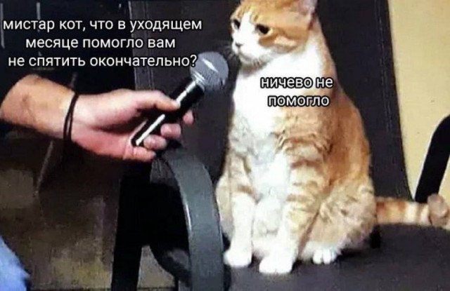 с наступившим годом лошади, продолжаем праздновать!