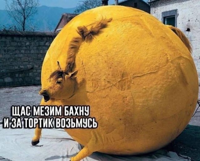 Прикольные и просто красивые картинки 06.01. 2026