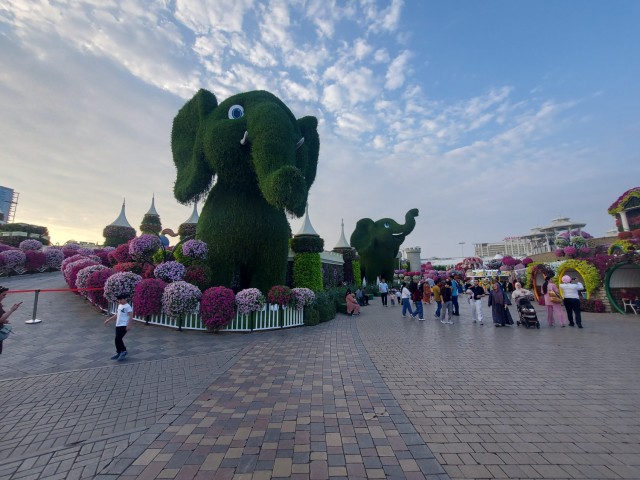 Дубайск в декабре