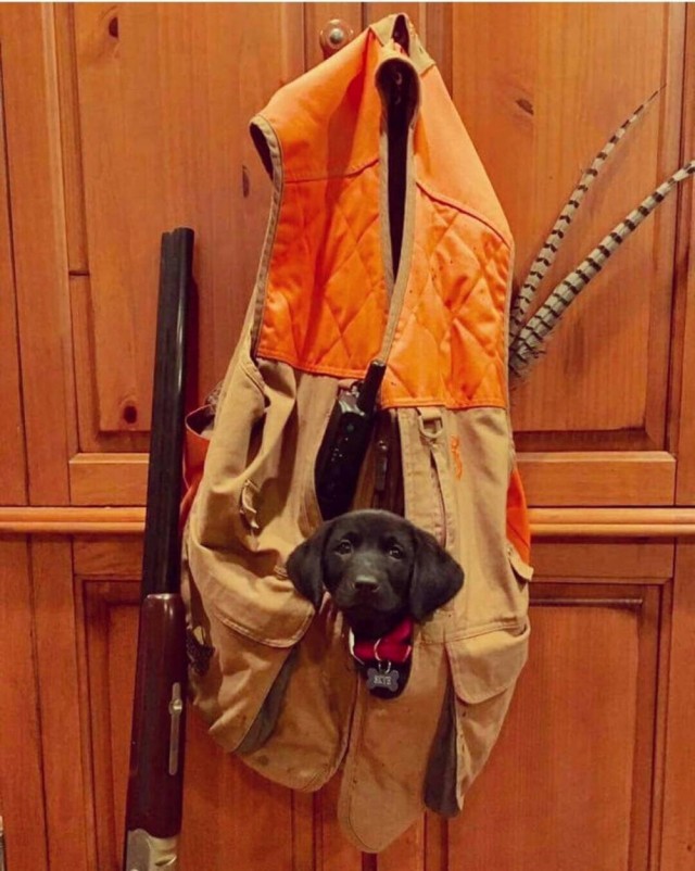 Картиночки на 15.01.2026