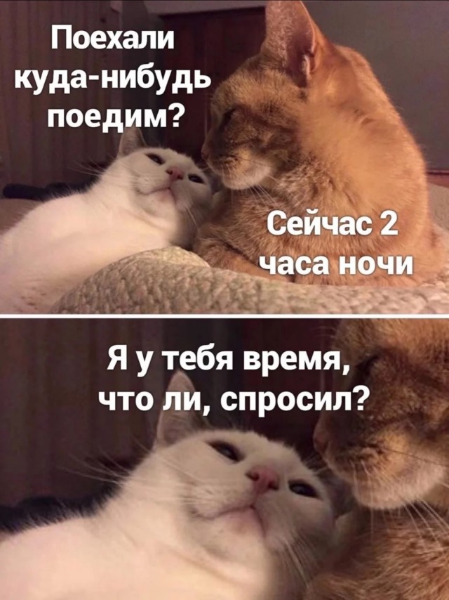 Картинки для деградации 129 (разной степени свежести)