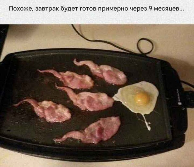 Забавные и не очень скромные картинки - 26