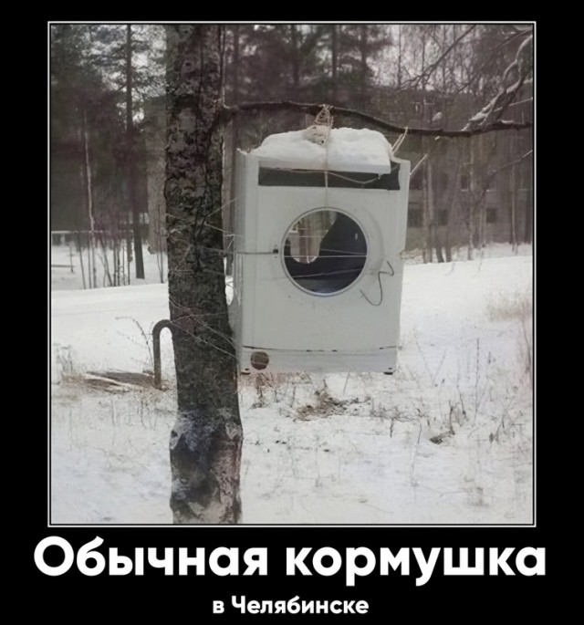 Картинки для деградации 168 (разной степени свежести)